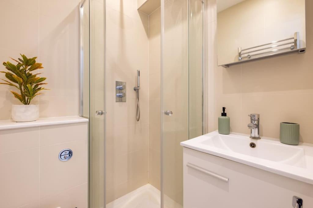 Wild Roses Serviced Apartments - Borough Лондон Экстерьер фото